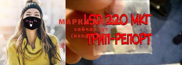 apvp Белокуриха