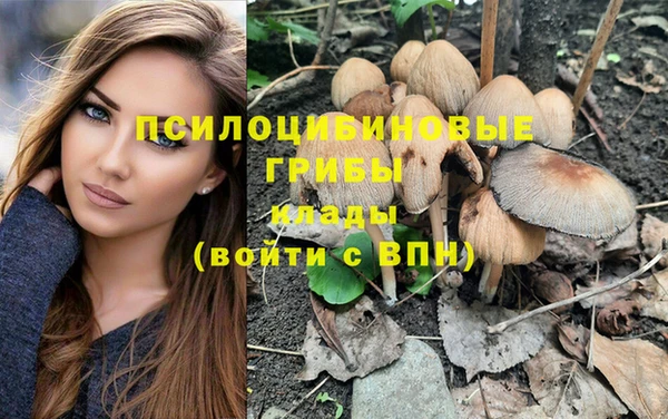 крисы Белоозёрский