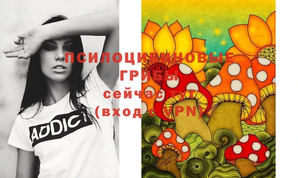 apvp Белокуриха