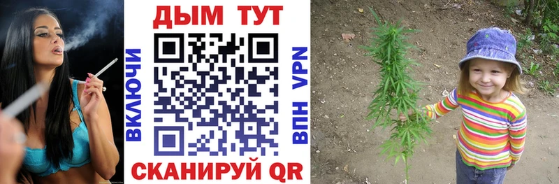 Марихуана планчик  Тогучин 